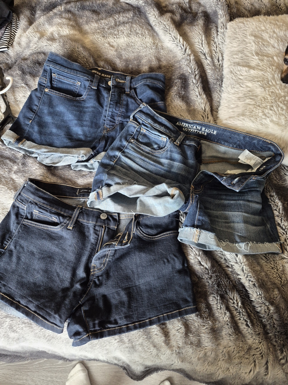 American Eagle Outfitters Blue Denim Shorts Set